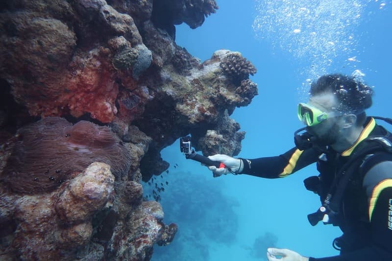 Plongée sous marine à Maurice