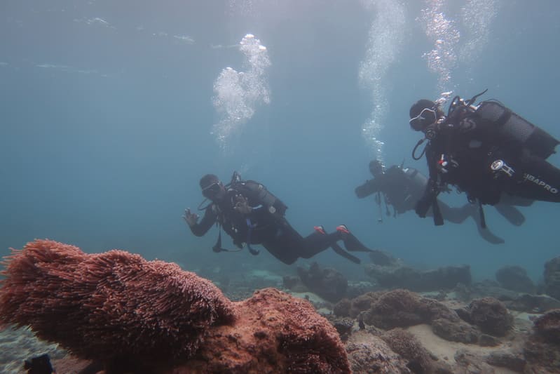 Padi Scuba Diver