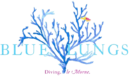 Logo Blue Lungs Diving Centre